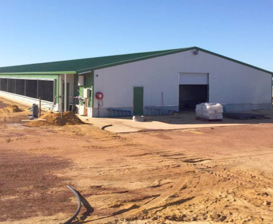 Commercial Poultry Facility — South Africa
